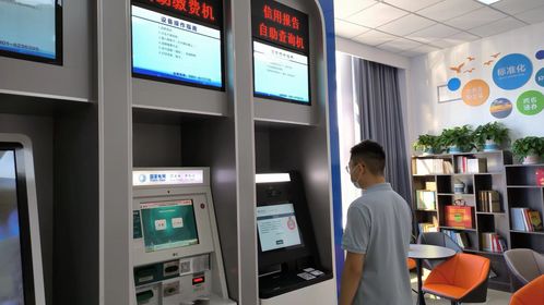 政務(wù)服務(wù)大廳引入征信報告自助查詢服務(wù)，提升便民服務(wù)水平